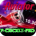 2022 world cup cricket Champion PK v2.5.2