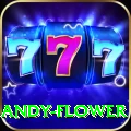 andy flower Deluxe v2.9.4
