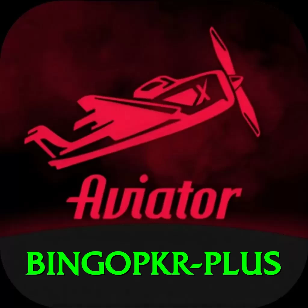bingopkr VIP Pro v4.7.7 - 2