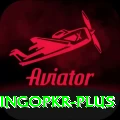 bingopkr VIP Pro v4.7.7