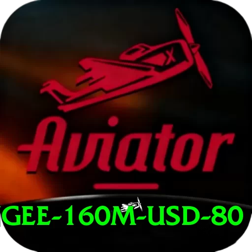 bungee 160m usd 80 Apps (Tools & Injectors) Master v1.6.0 - 2