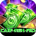 carp fish Cash Master