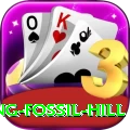 chhusang fossil hill Apps (Tools & Injectors) Premium v4.1.3