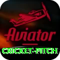 cricket pitch Games (Casino & Earning) Pro v4.8.0