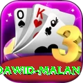dawid malan Deluxe Pro v4.5.1