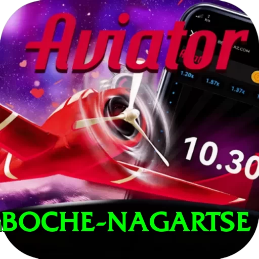 dingboche nagartse Plus v2.0.5 - 2