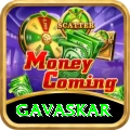 gavaskar VIP Edition v1.4.5