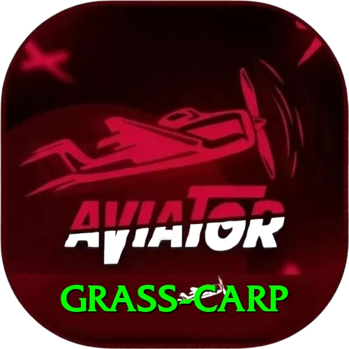 grass carp VIP Pro v5.7.7 - 2