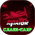 grass carp VIP Pro v5.7.7