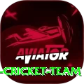 hong kong cricket team Plus Edition v2.8.3