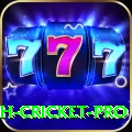 india bangladesh cricket Pakistan Royal v1.9.0