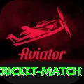 india newzealand cricket match Premium Plus v5.7.0