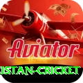 india pakistan cricket VIP Edition v5.5.4