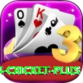 india pakistan cricket Casino Official v2.8.0