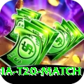 india t20 match VIP Edition v4.9.0
