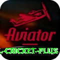 international cricket Official v1.4.8