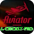 international cricket - Elite Edition v3.3.5