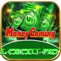 mobile cricket - Slots Pro