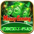 most runs in international cricket King Gaming App