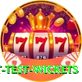 most test wickets Elite Pro v4.6.5