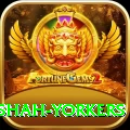 naseem shah yorkers Deluxe v5.8.2