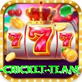 netherlands cricket team Apps (Tools & Injectors) Pro v3.8.0