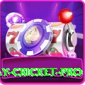 play cricket Cash Pro