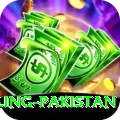 responsible gambling pakistan Apps (Tools & Injectors) Deluxe v1.8.9