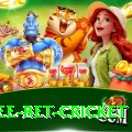 risk free bet cricket Games (Casino & Earning) Ultimate v3.6.4