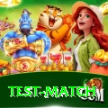 test match Plus v3.5.3