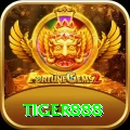 tiger888 Master v5.4.8