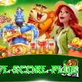tnpl live score - Casino King