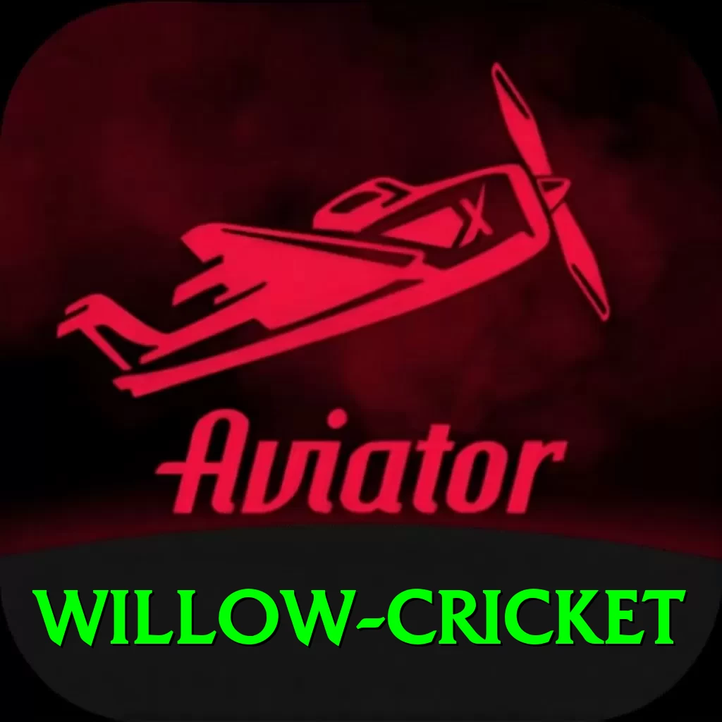 willow cricket Max Pro v4.5.2 - 2