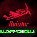 willow cricket Max Pro v4.5.2